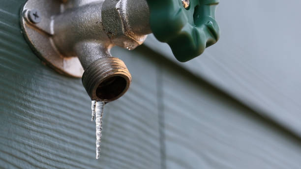 Best Local Plumber Services  in Pine Bush, NY